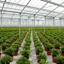 Gartenbaubetrieb